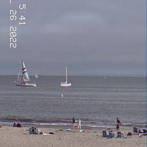 Meet your Posher, Ella